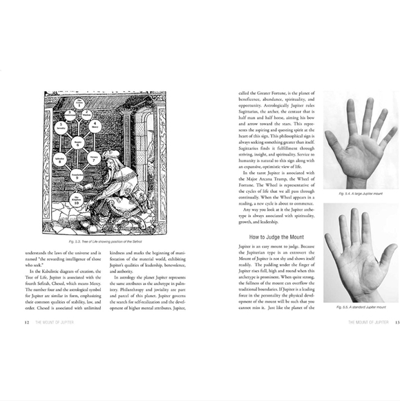 Book - Picture 4 of 4